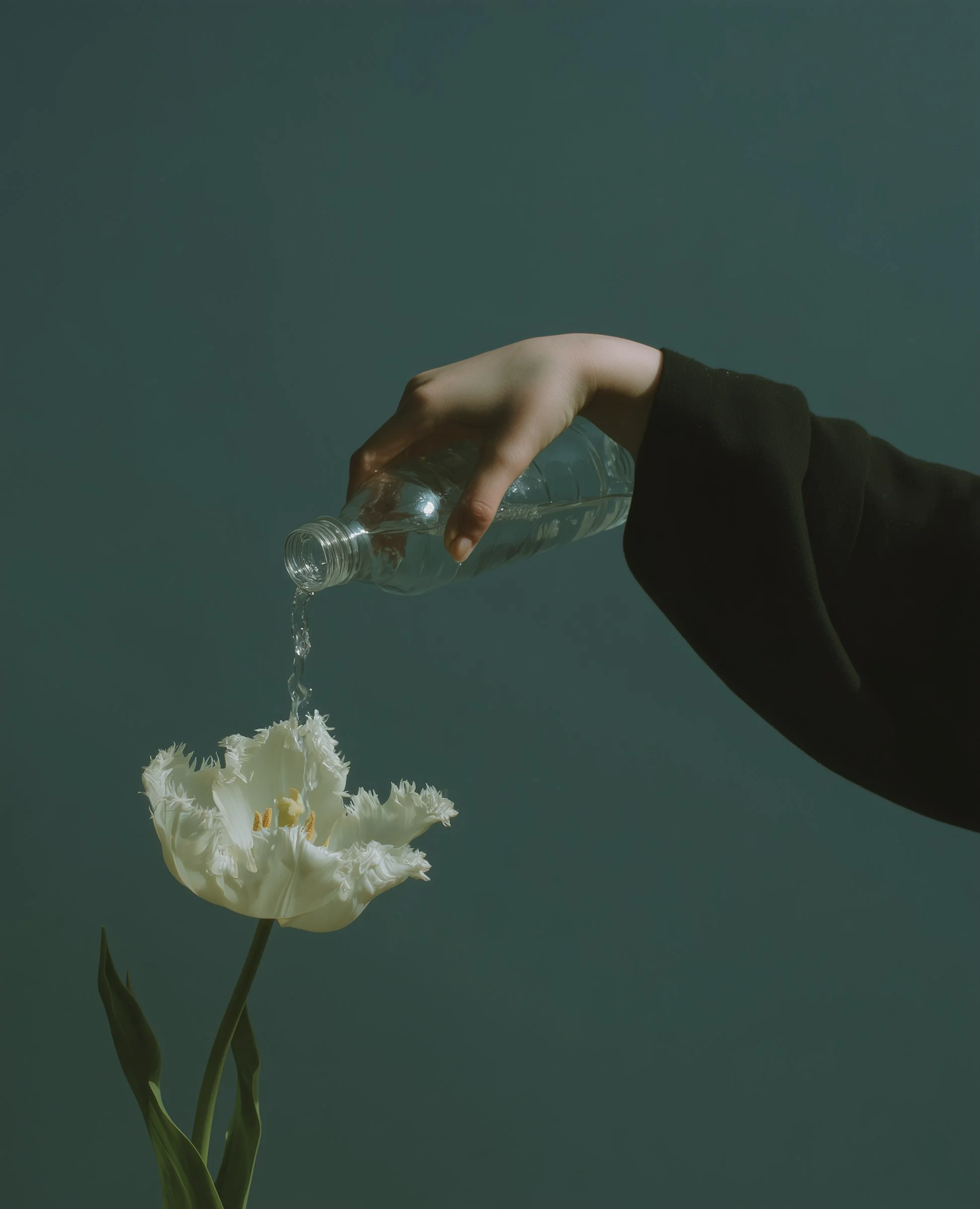 1129.webp (1946×2400)